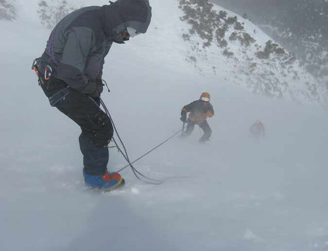 _7988537739