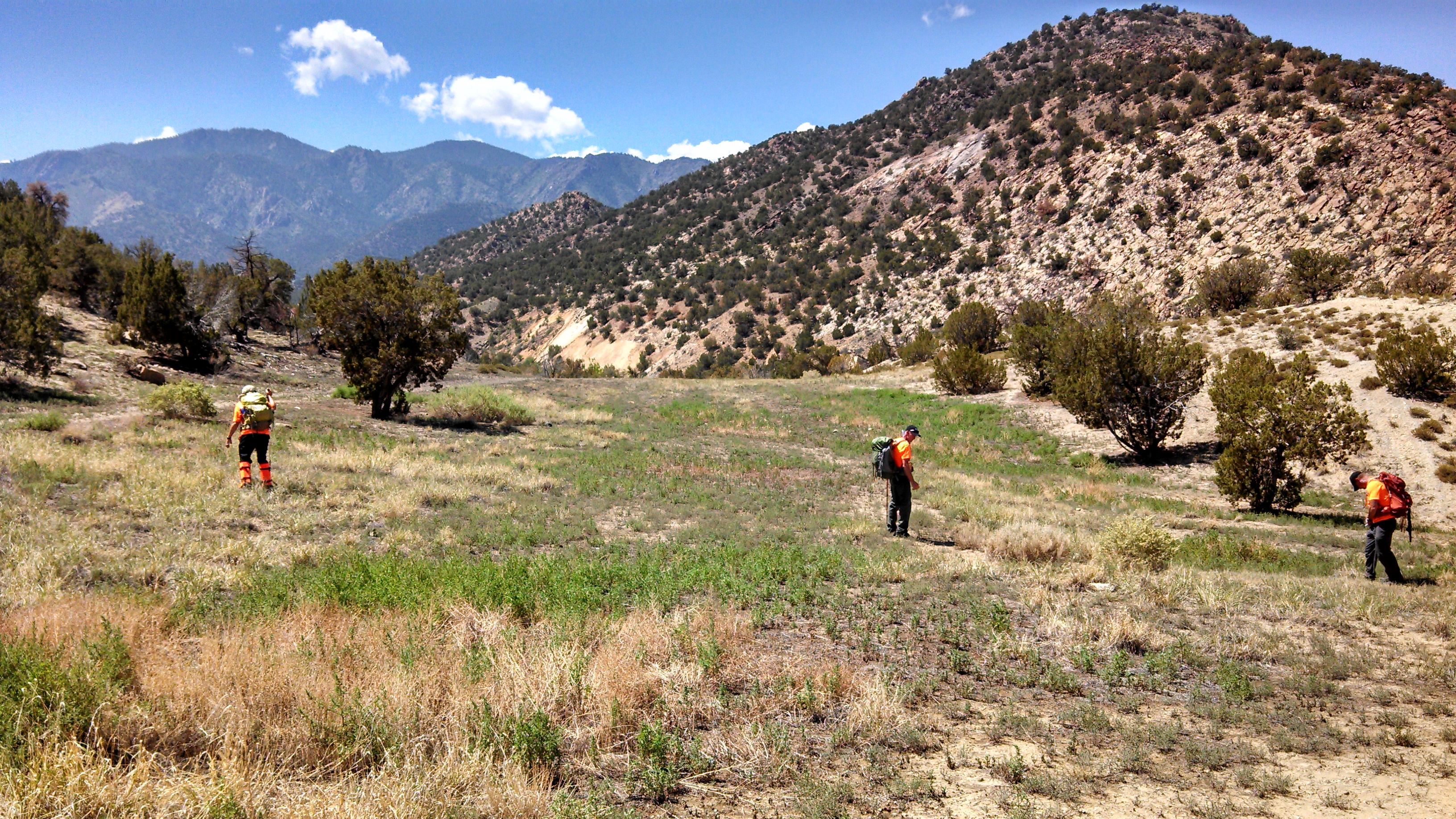 Area Search Training