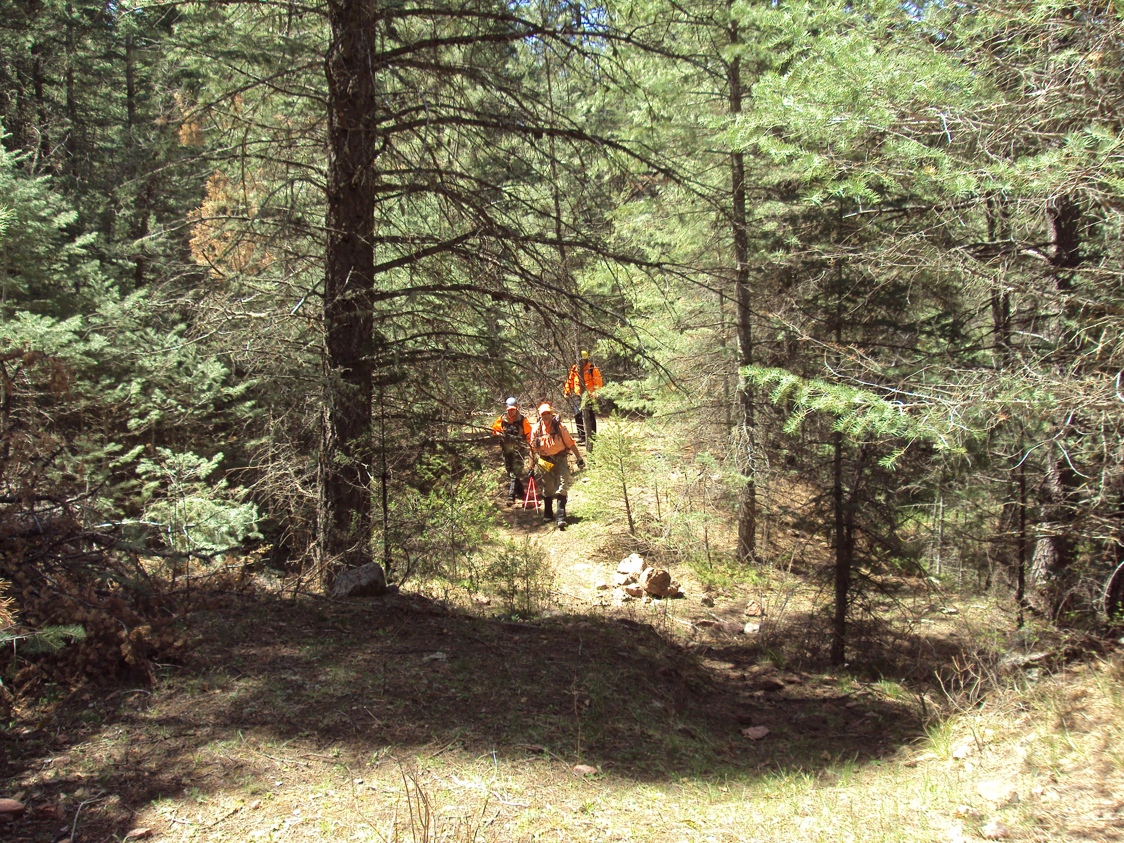 In the Field - Phantom Canyon