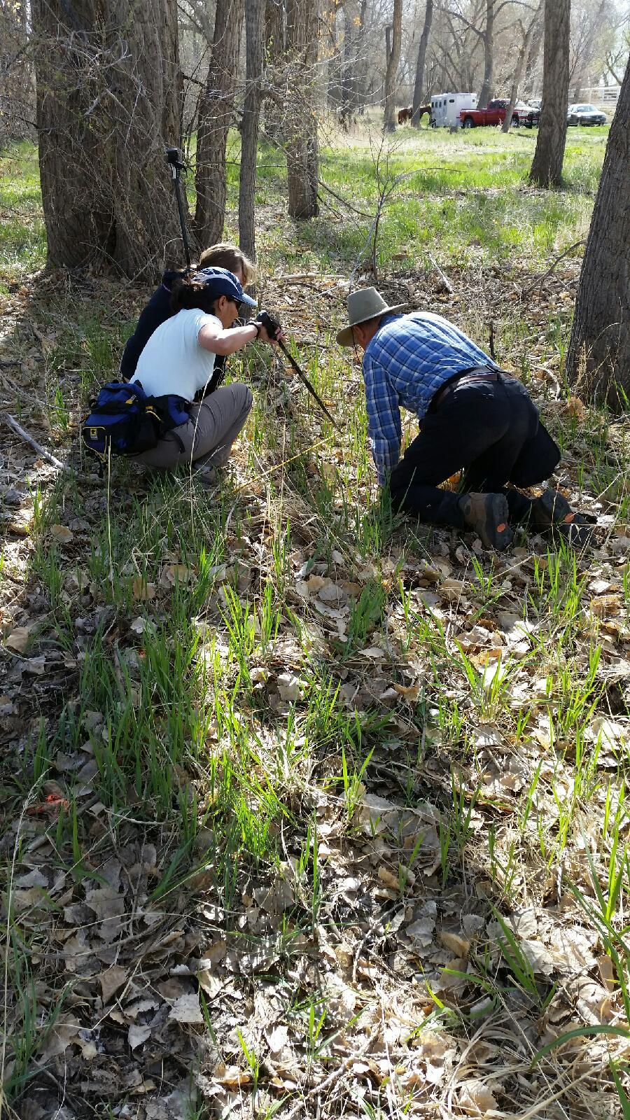 Trackers working a trail