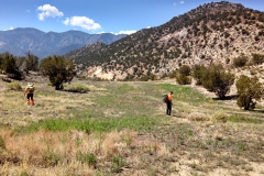 Area Search Training