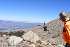 Chaffee County Search