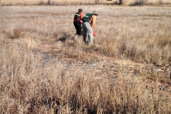 Tracking in the deep grass